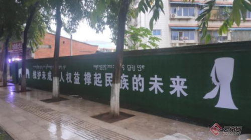 云南景洪 提質(zhì)公益廣告，傳遞文明新風尚